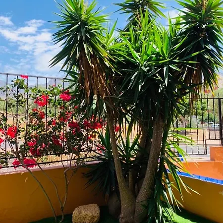 Apartman Elegant Elite Palace Costa Adeje (Tenerife)